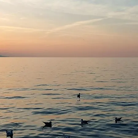 Inspiration Room, Lake, Mountains, Balcony In Center Montreux